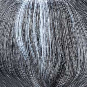 Zury Sis Synthetic Fiber Lace Part Full Wig - FW PART WISDOM 303 - SoGoodBB.com